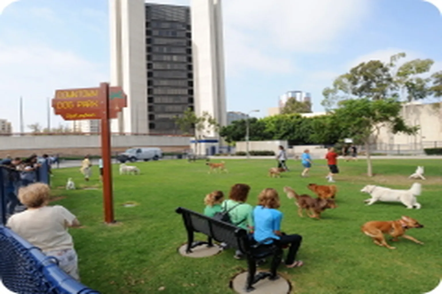 Downtown Dog Park (At Lincoln Park) in Long Beach, California