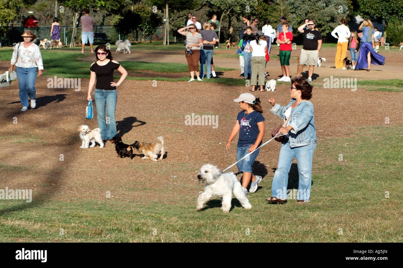Redondo Beach Dog Park in Redondo Beach, California