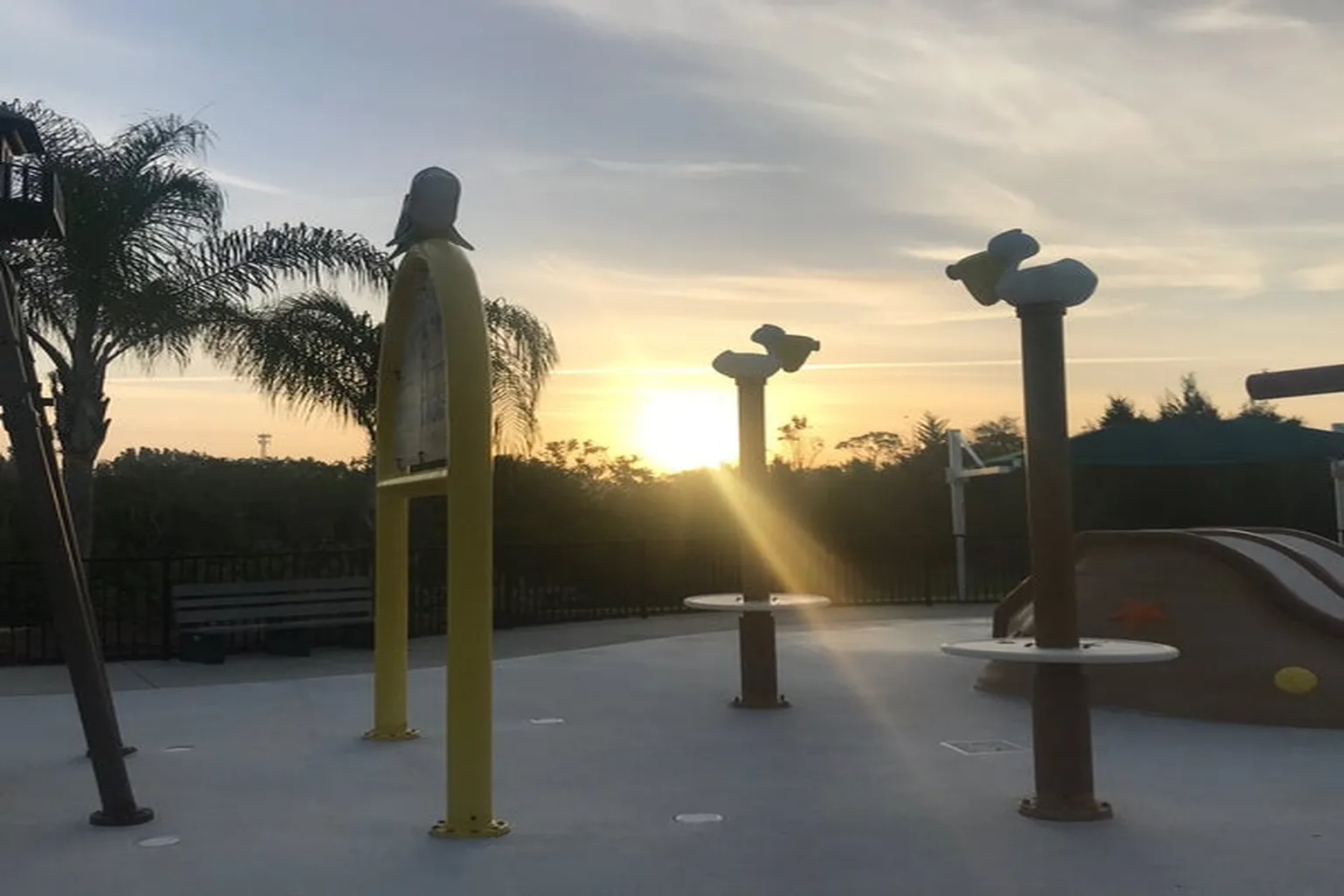 Live Oak Dog Run in Manhattan Beach, California - Main Image