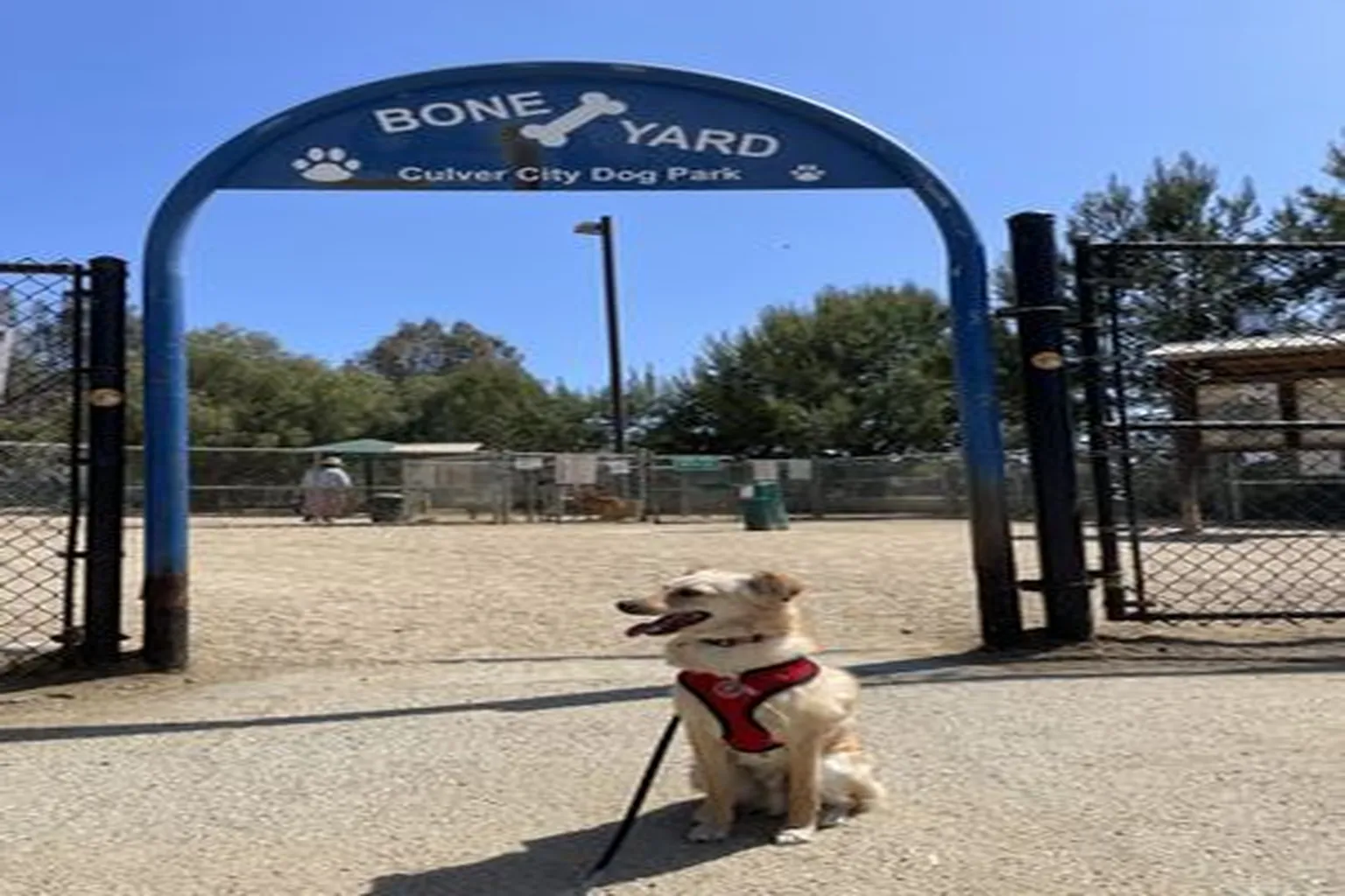 The Boneyard (Culver City Dog Park) in Culver, California - Main Image