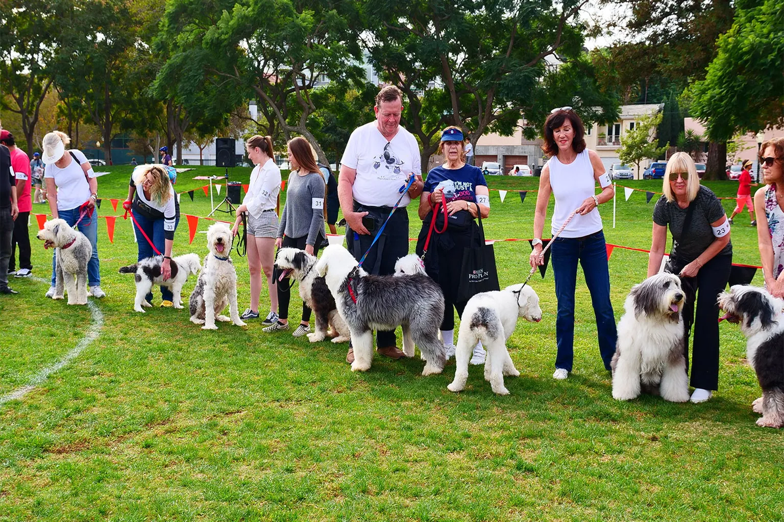 Roxbury Park in Beverly Hills, California - Main Image