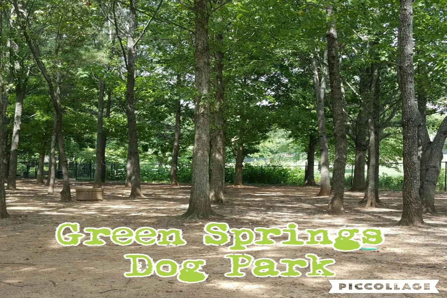 Green Springs Dog Park in Birmingham, Alabama - Main Image