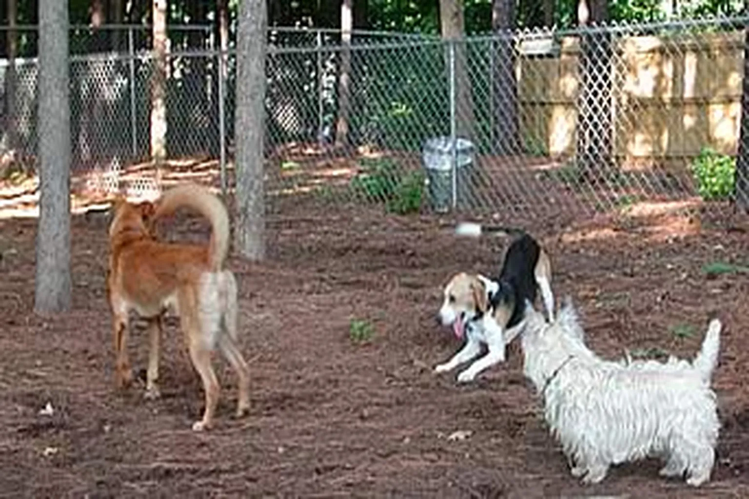 Furry Feet Retreat Dog Park - Closed in Cary, North Carolina - Main Image