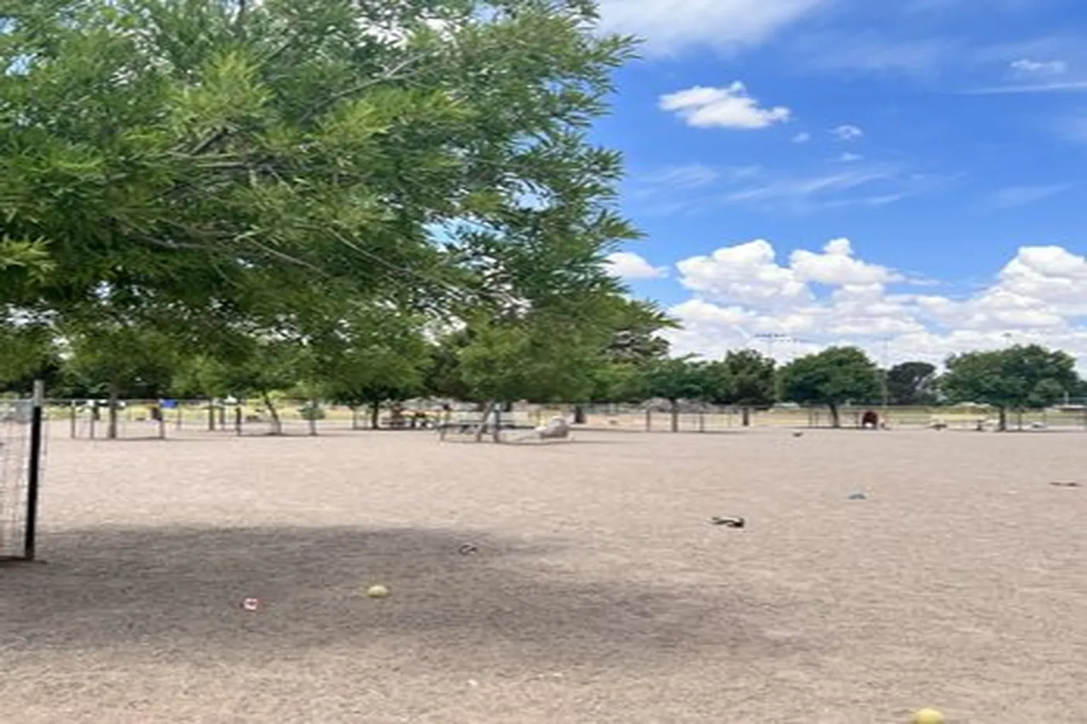 Las Cruces Dog Park in Las Cruces, New Mexico - Main Image