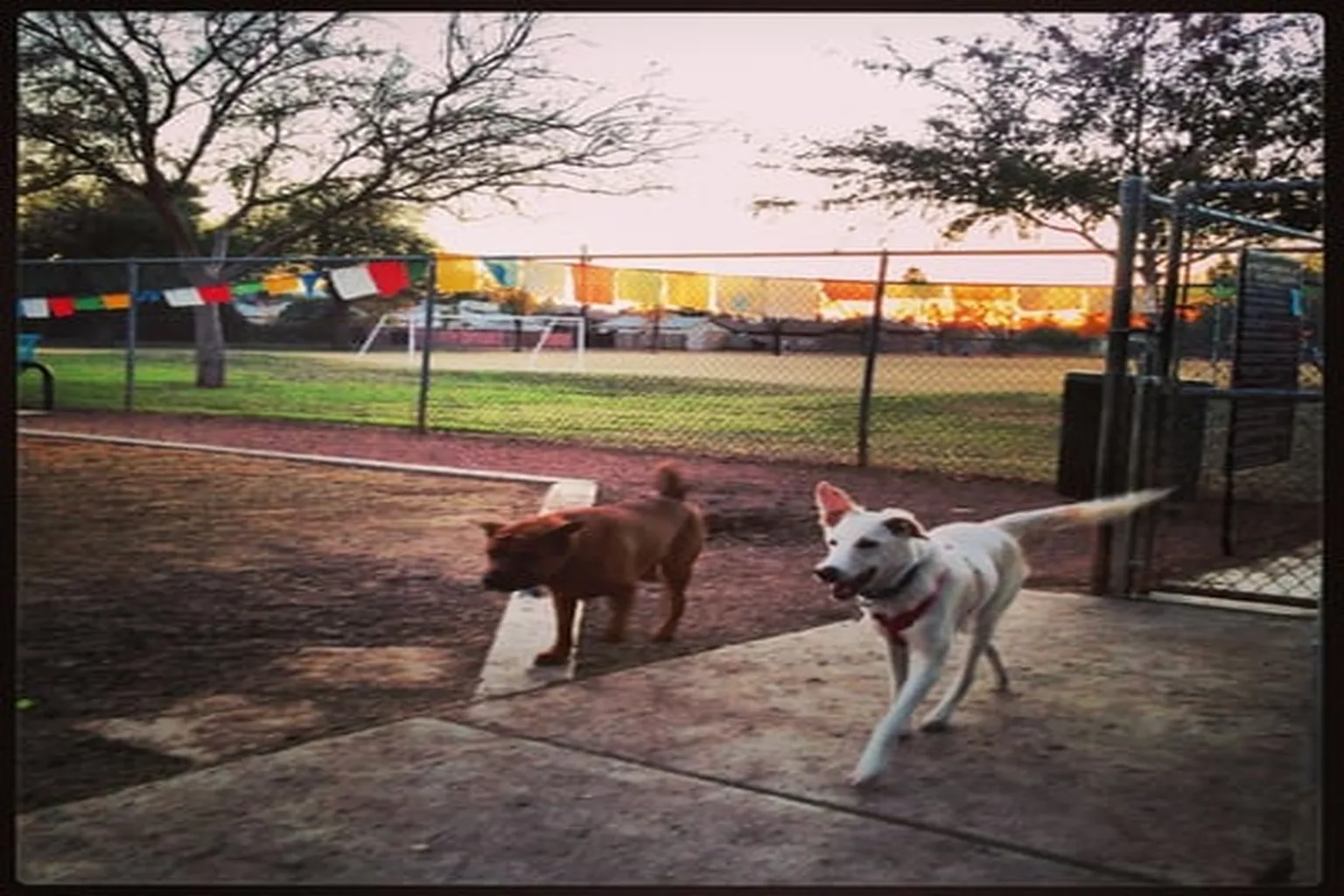 Mitchell Park in Tempe, Arizona