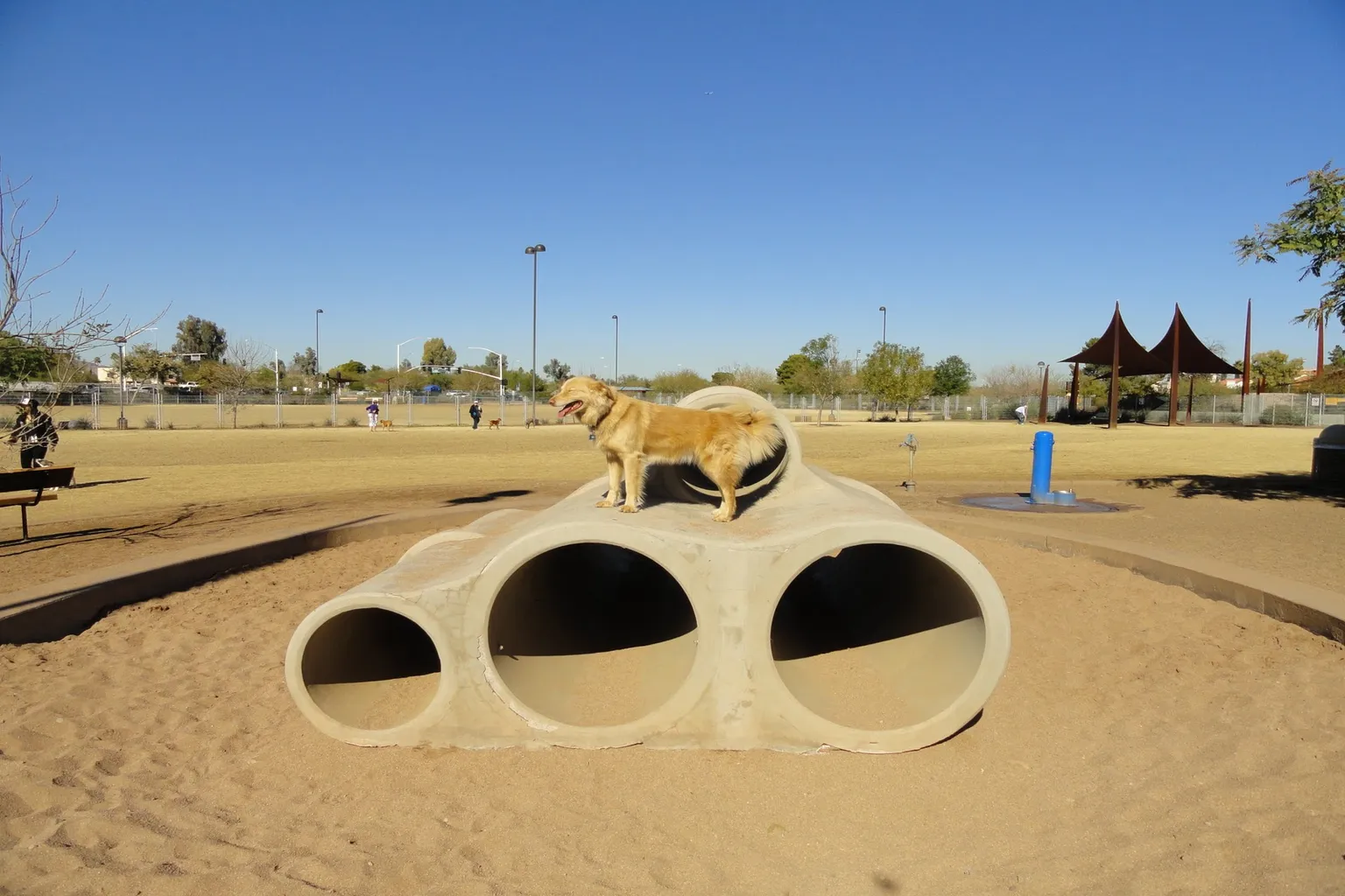 Chaparral Park in Scottsdale, Arizona