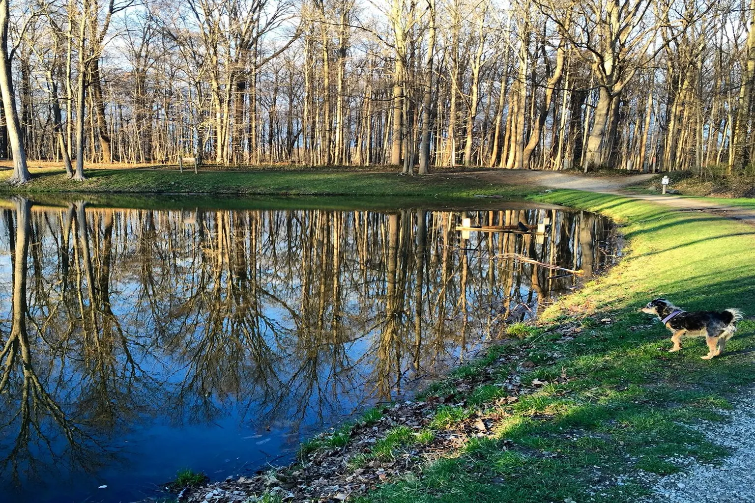 Avon-Washington Township Paw Park in Avon, Indiana - Main Image