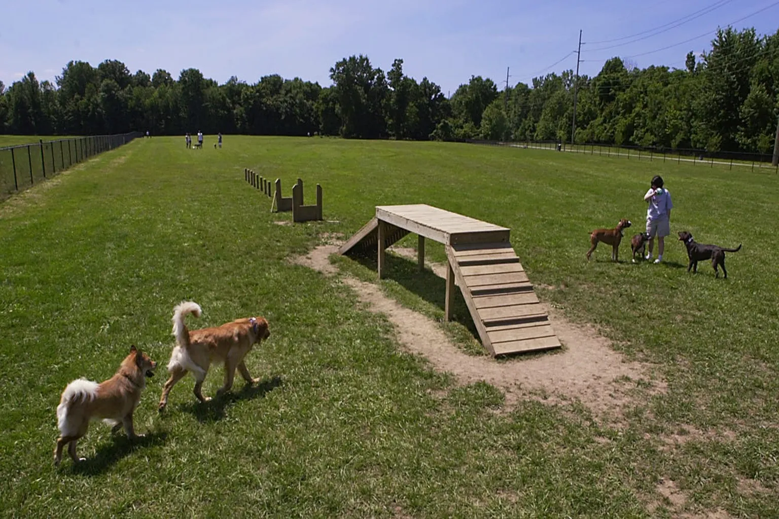 Club Canine Dog Park in Carmel, Indiana