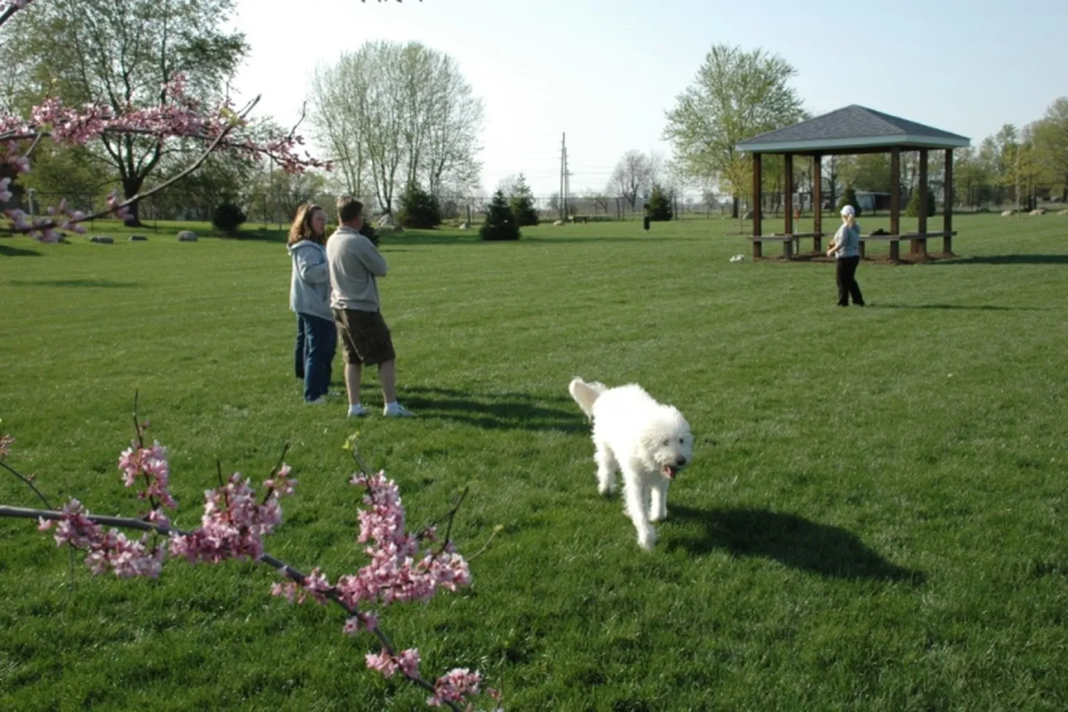 Beverly's Bark Park in Fishers, Indiana - Main Image