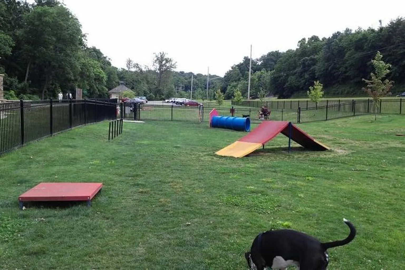 Bentonville Bark Park in Bentonville, Arkansas