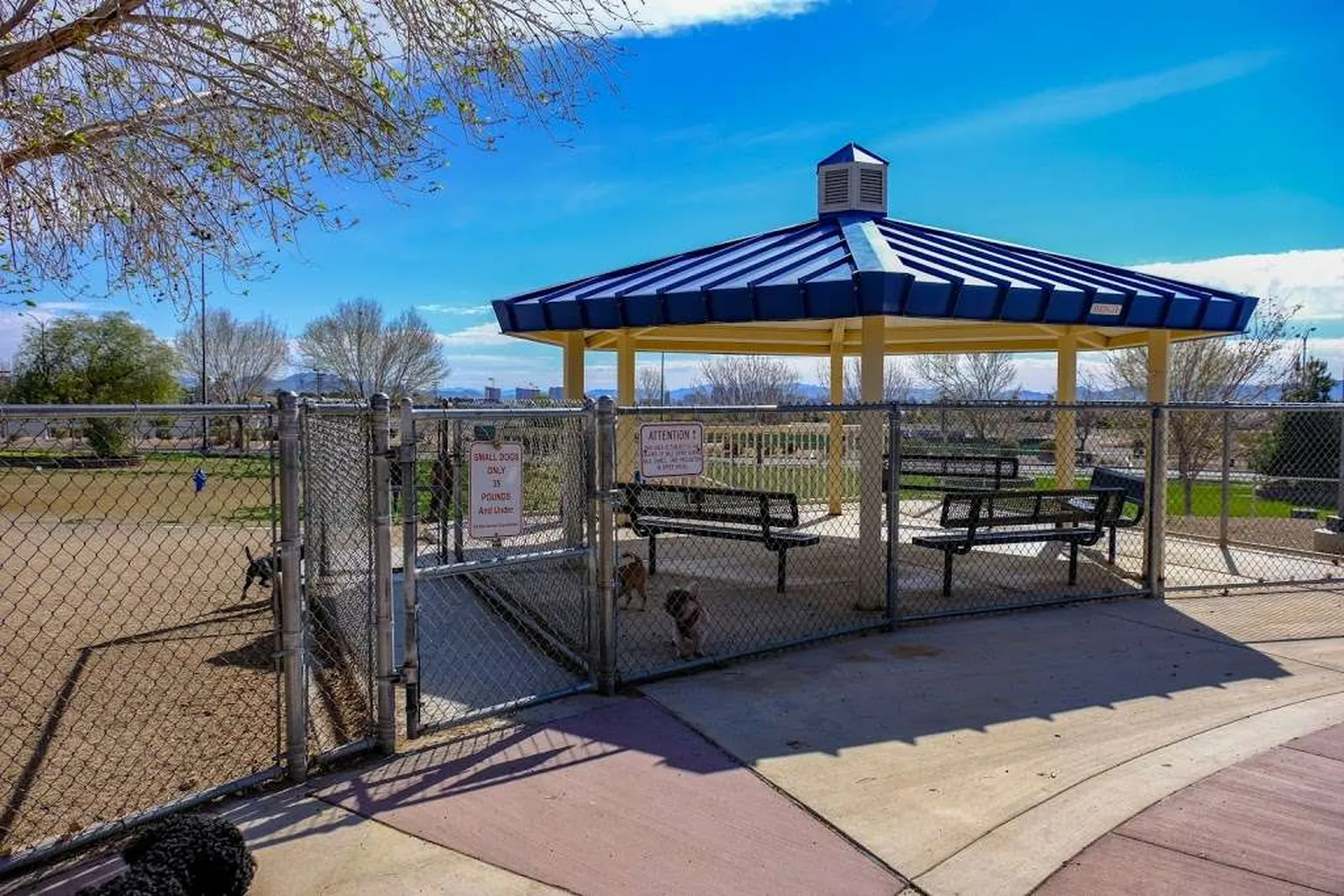 Desert Breeze Dog Park in Las Vegas, New Mexico
