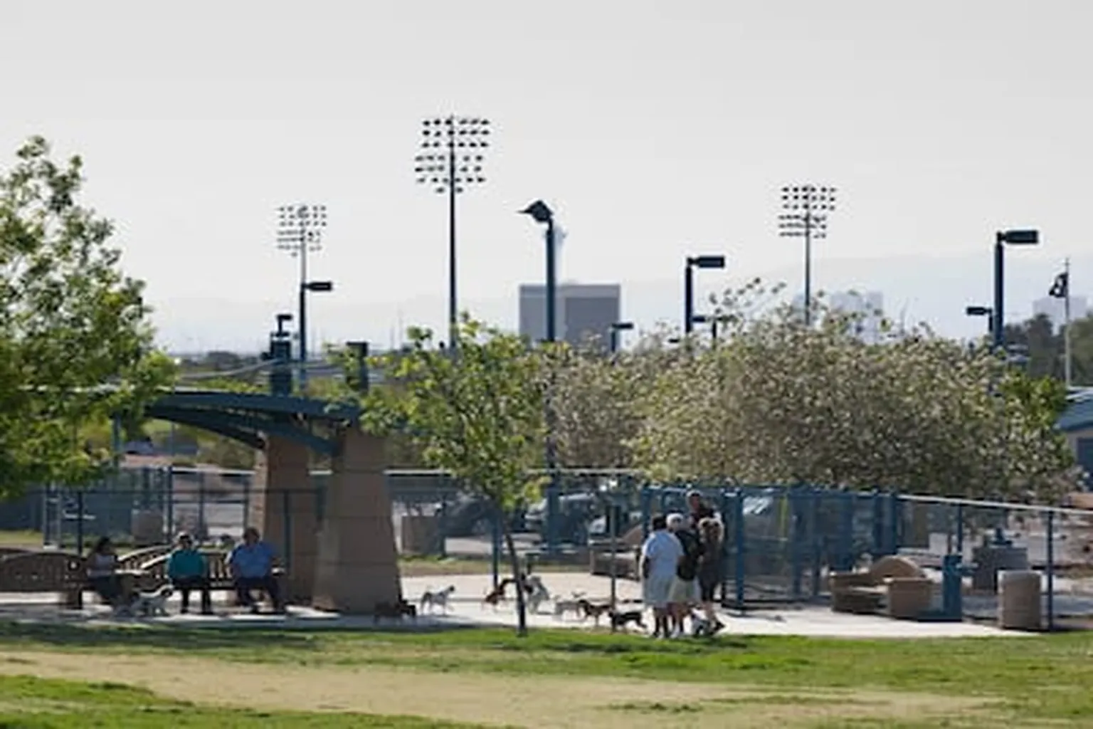 Kellogg-Zaher Sports Complex Dog Park in Las Vegas, Nevada