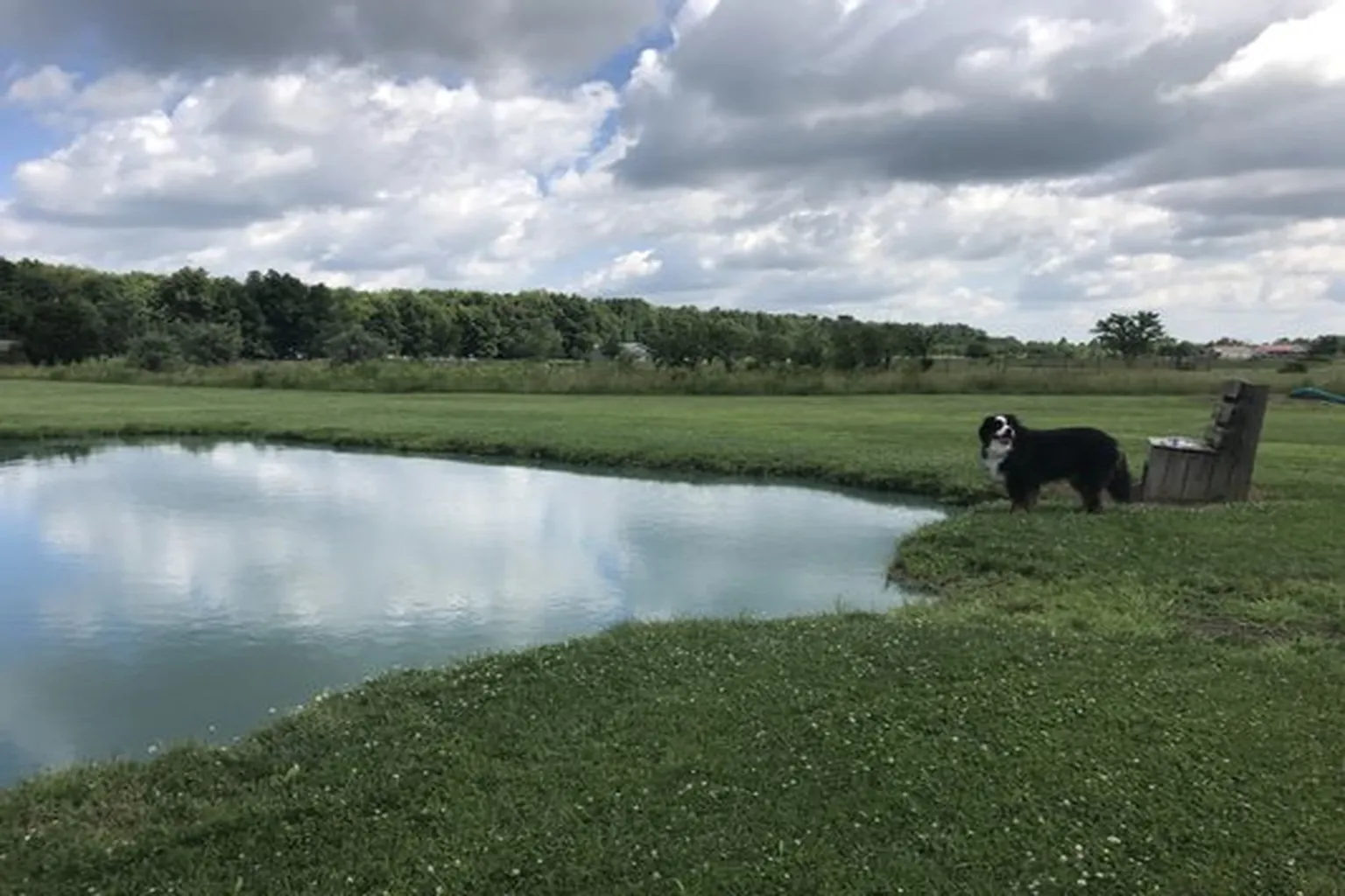 Tom Harvey Memorial Dog Park in Blanchester, Ohio - Main Image