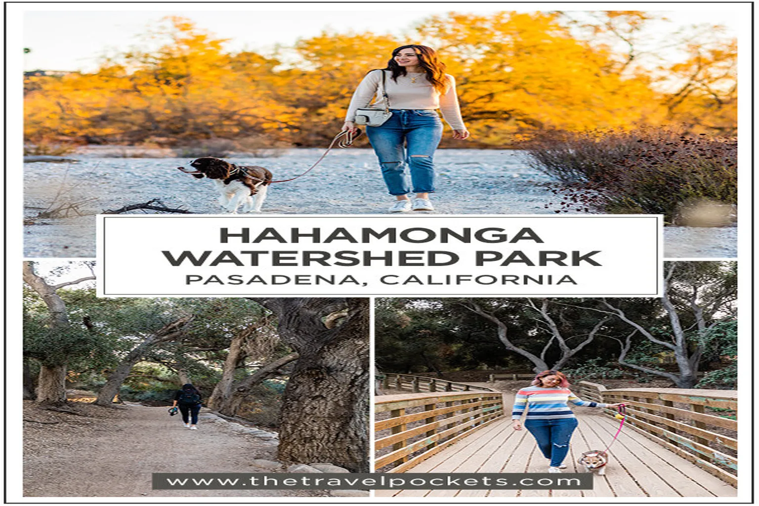 Hahamongna Watershed Dog Park in Pasadena, California