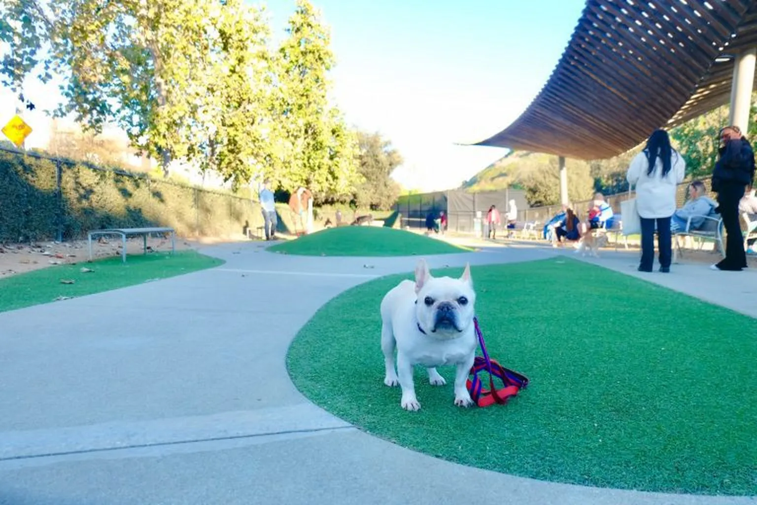 Herman Park Dog Park in Los Angeles, California