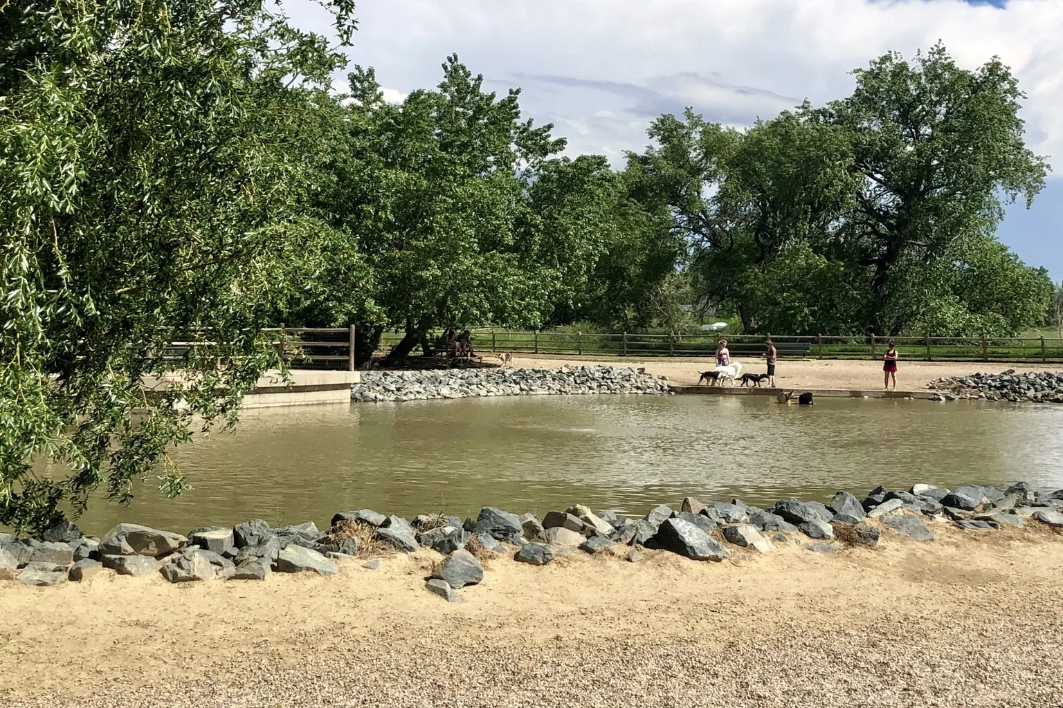 Spring Canyon Dog Park in Fort Collins, Colorado