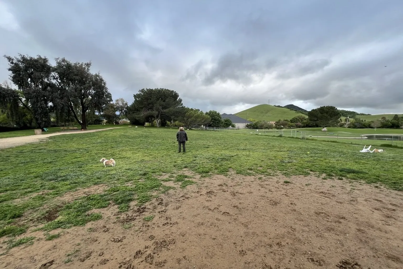 Morgan Hill Dog Park (In Community Park) in Morgan Hill, California