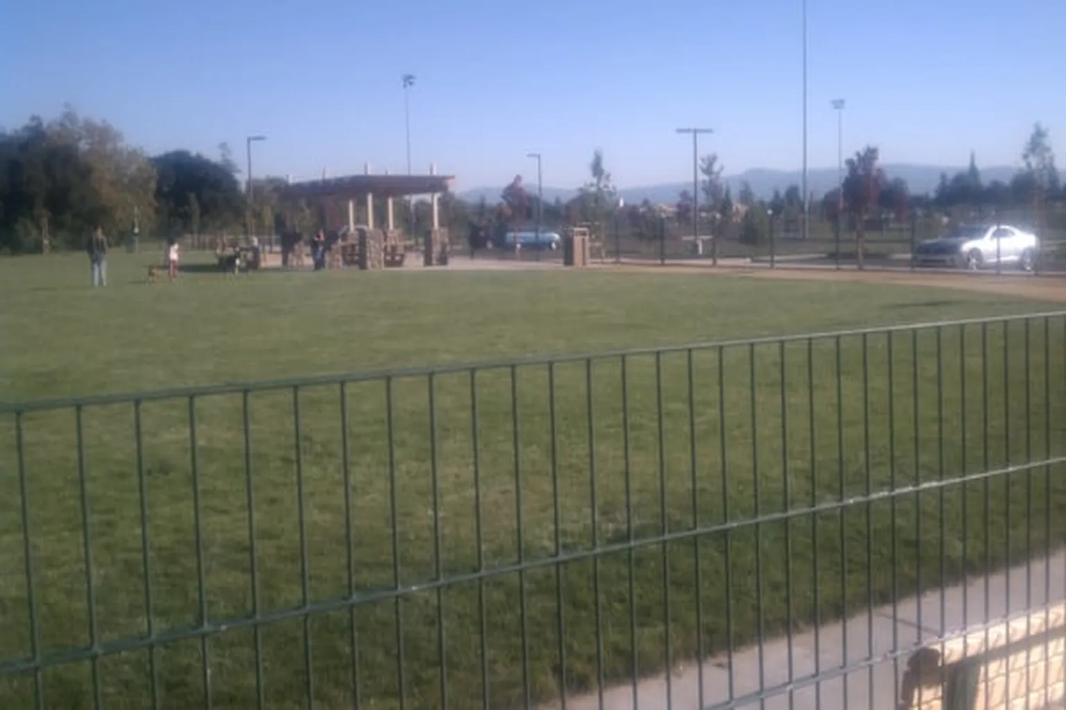 Watson Dog Park in San Jose, California