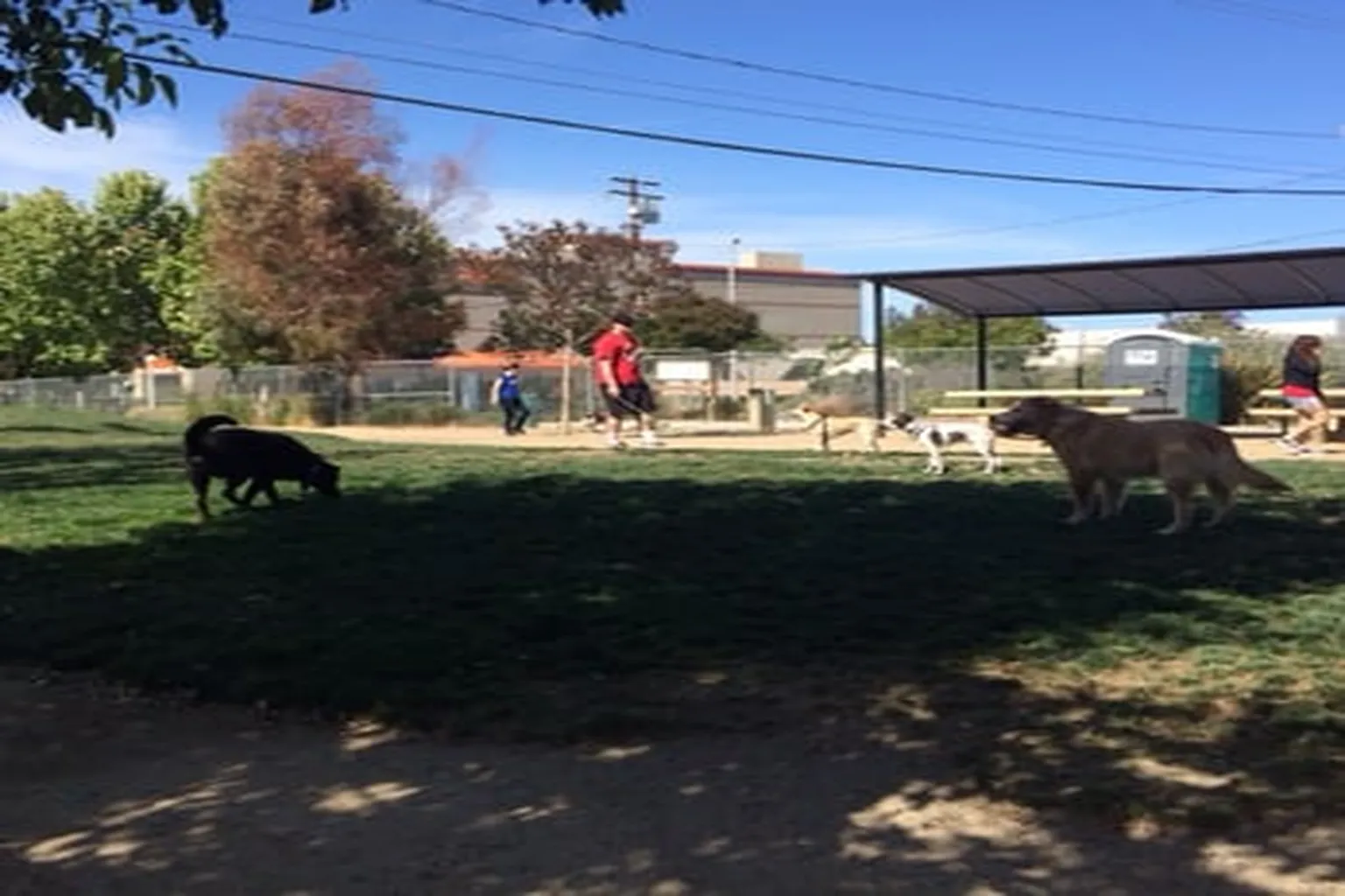 Reed Steet Dog Park in Santa Clara, California