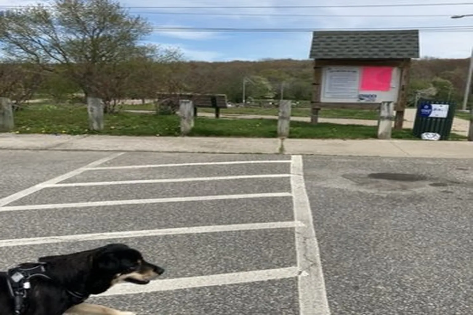 South Kingstown Dog Park in Wakefield, Rhode Island