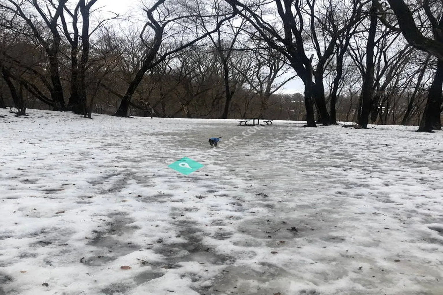 Woodview Dog Park in Roseville, Minnesota - Main Image
