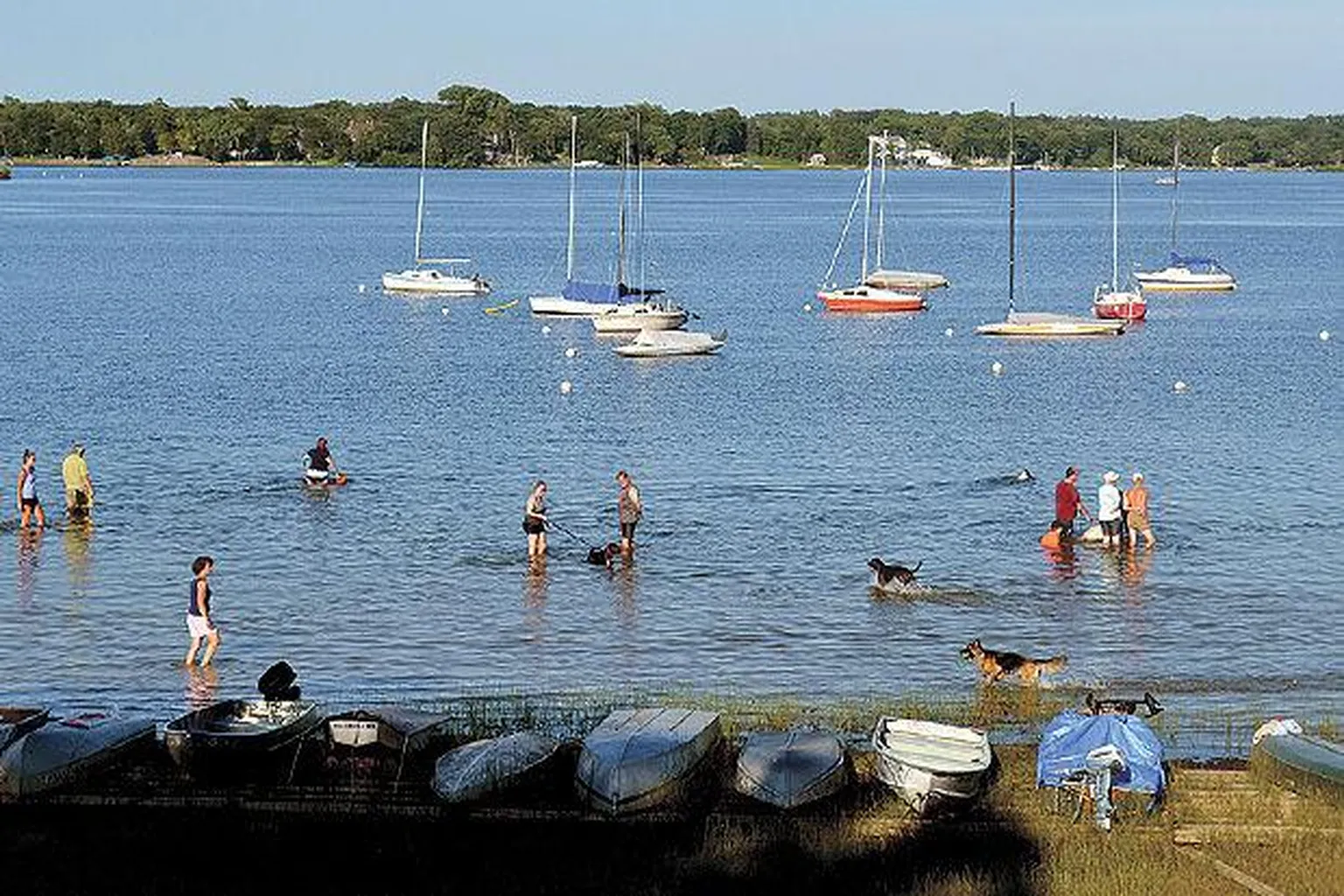 White Bear Lake Dog Beach (At Matoska Park) in White Bear, Minnesota - Main Image