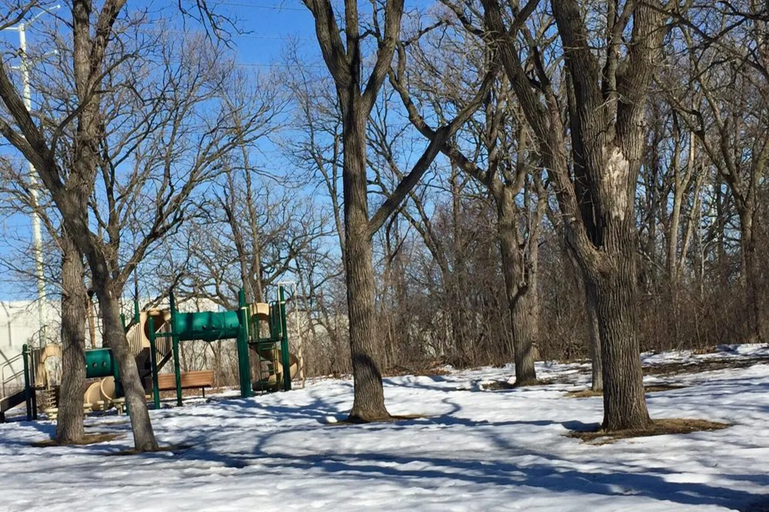 Locke Dog Park in Fridley, Minnesota