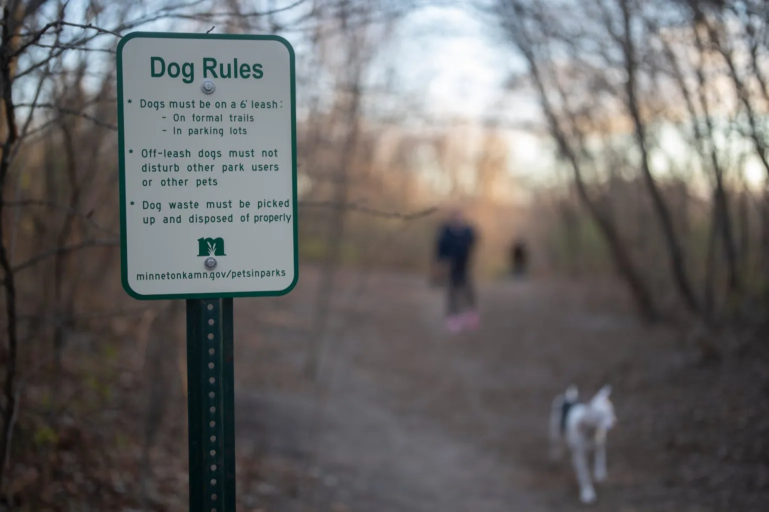 Purgatory Park Off Leash Dog Area in Minnetonka, Minnesota