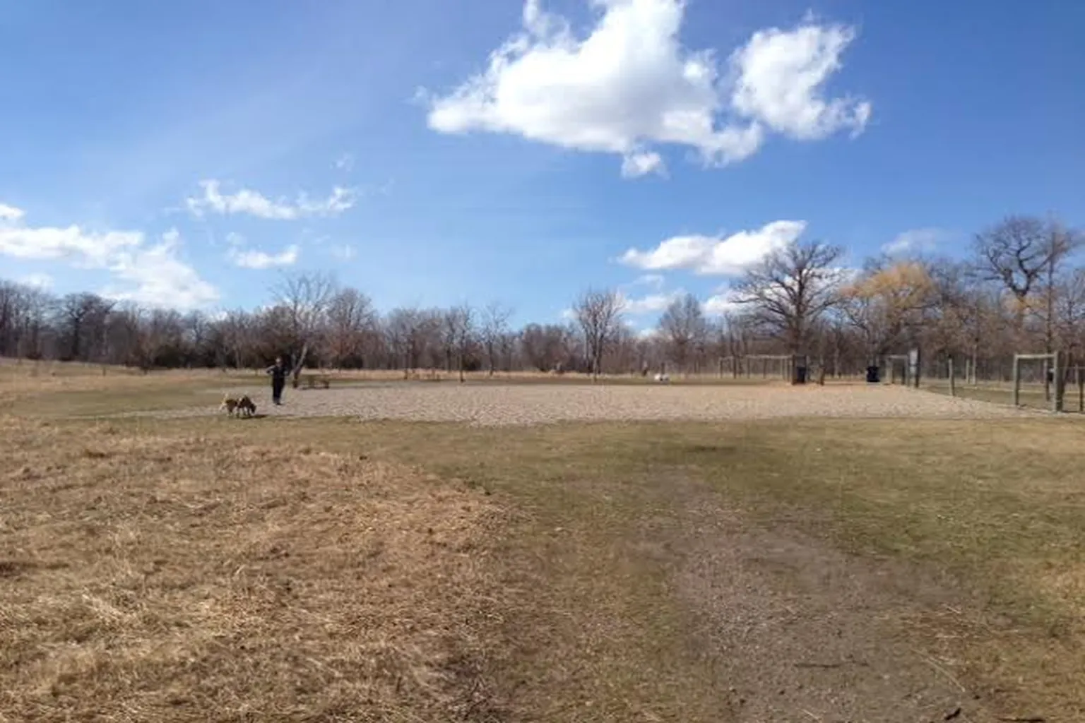 Carver Park Reserve Dog Park in Victoria, Minnesota - Main Image