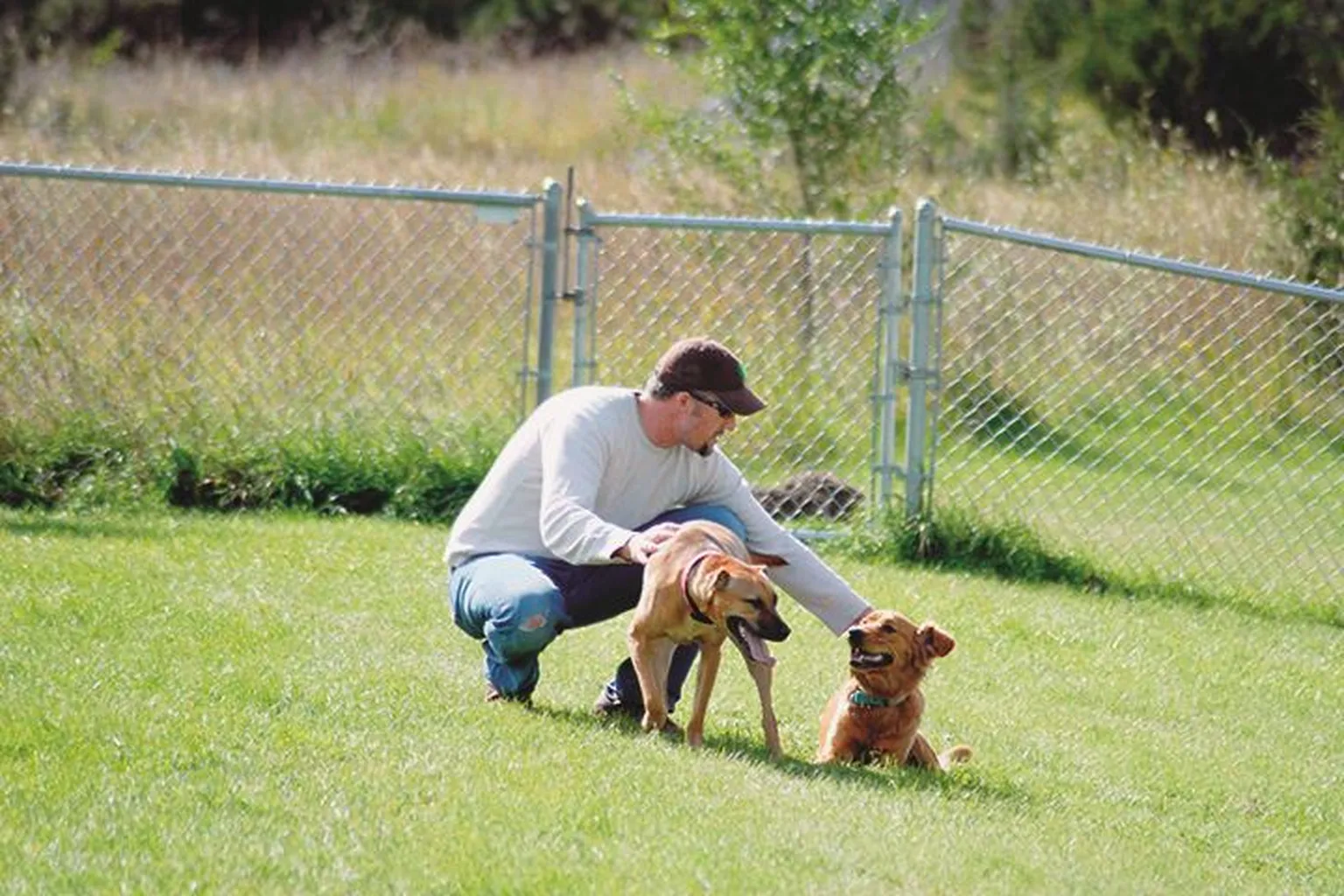 Alpine Dog Park (Ramsey Bark Park) in Ramsey, Minnesota