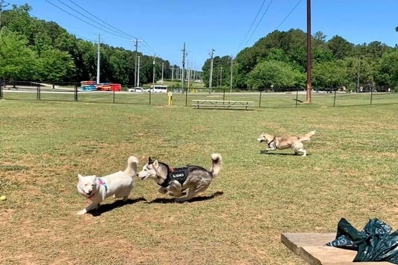 Barking Lot Dog Park (At Saluda Shoals Park) in Columbia, South Carolina - Main Image