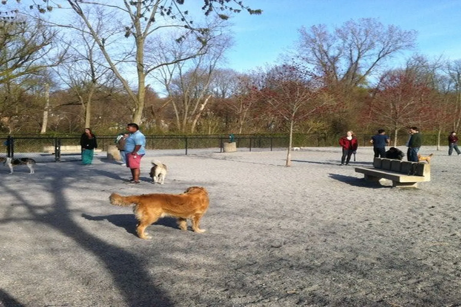 Bark Park At Baldwin Farm (Delfino Park) in White Plains, New York