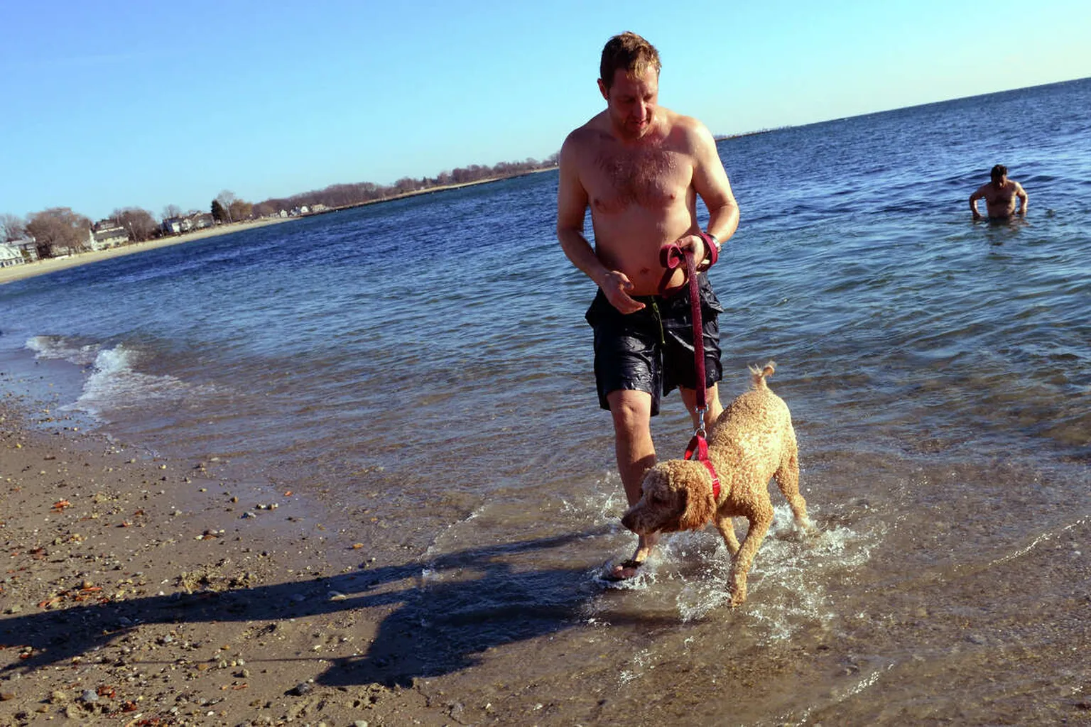 Compo Beach Off Leash Dog Area in Westport, Connecticut