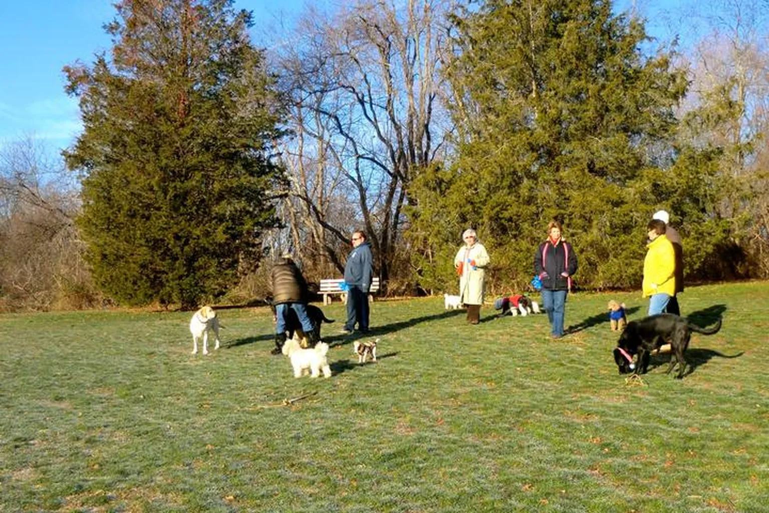 Winslow Park Off Leash Dog Area in Westport, Connecticut