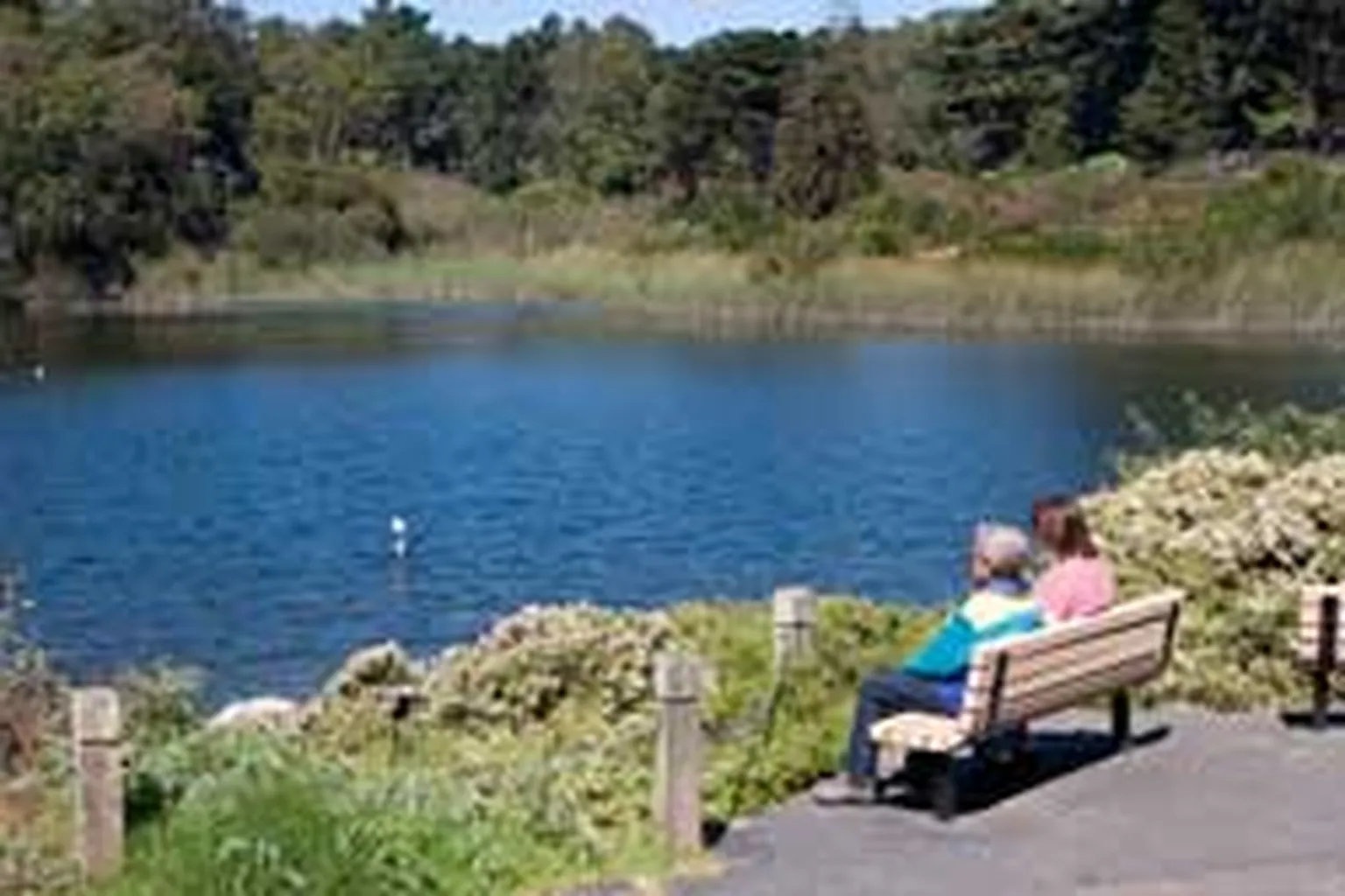 Mountain Lake Park Off Leash Dog Area in San Francisco, California