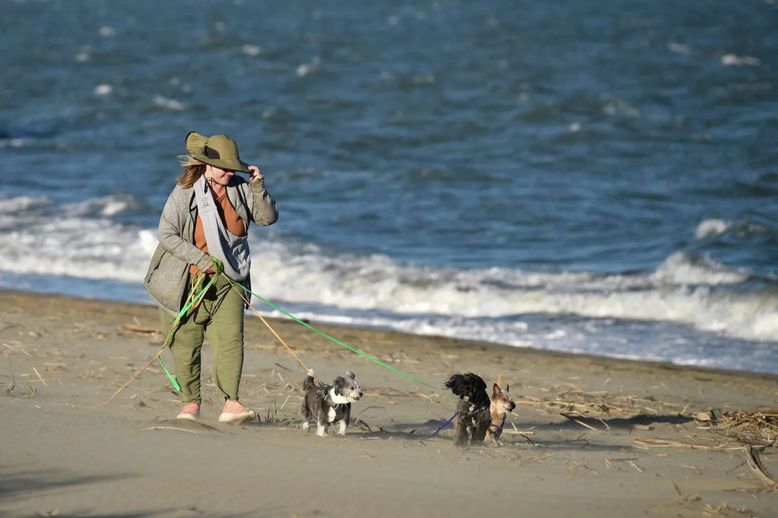 Crissy Field Off Leash Dog Area - Open May To July in San Francisco, California