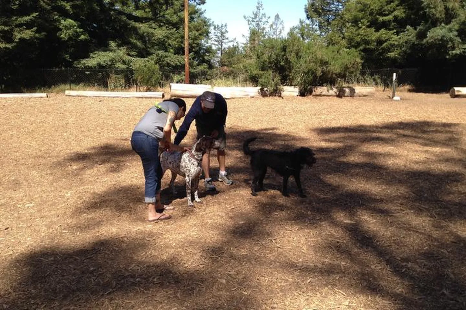 Idora Dog Park - Coming Someday in Oakland, California