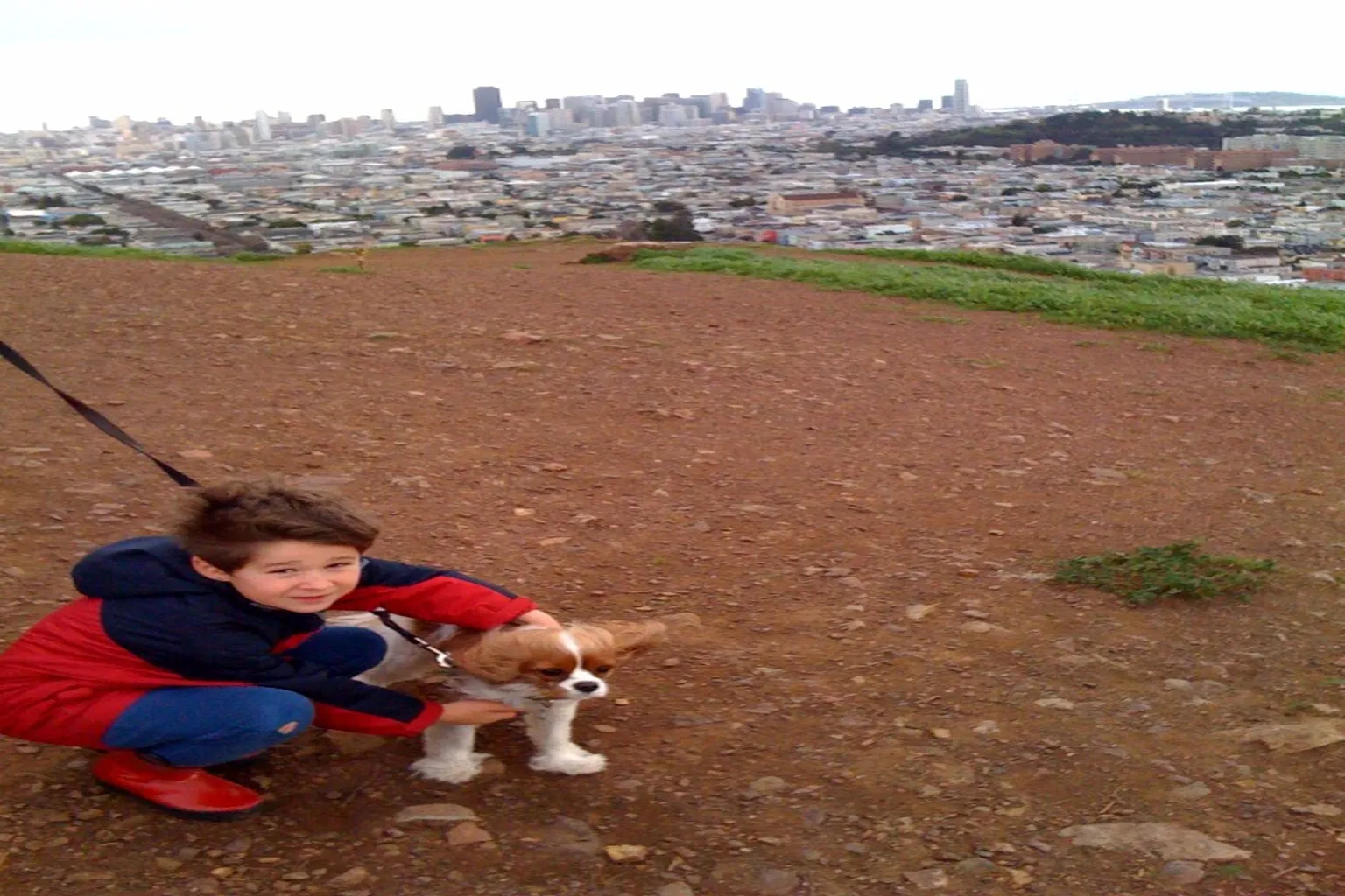 Bernal Heights Park Off Leash Dog Area in San Francisco, California