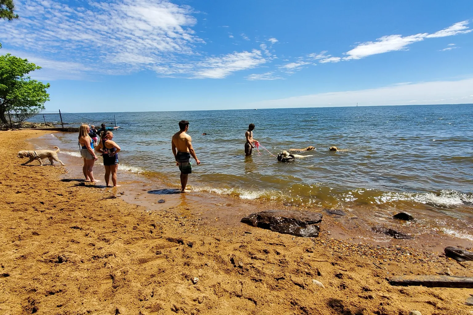 Downs Dog Beach (At John H. Downs Park) in Pasadena, Maryland