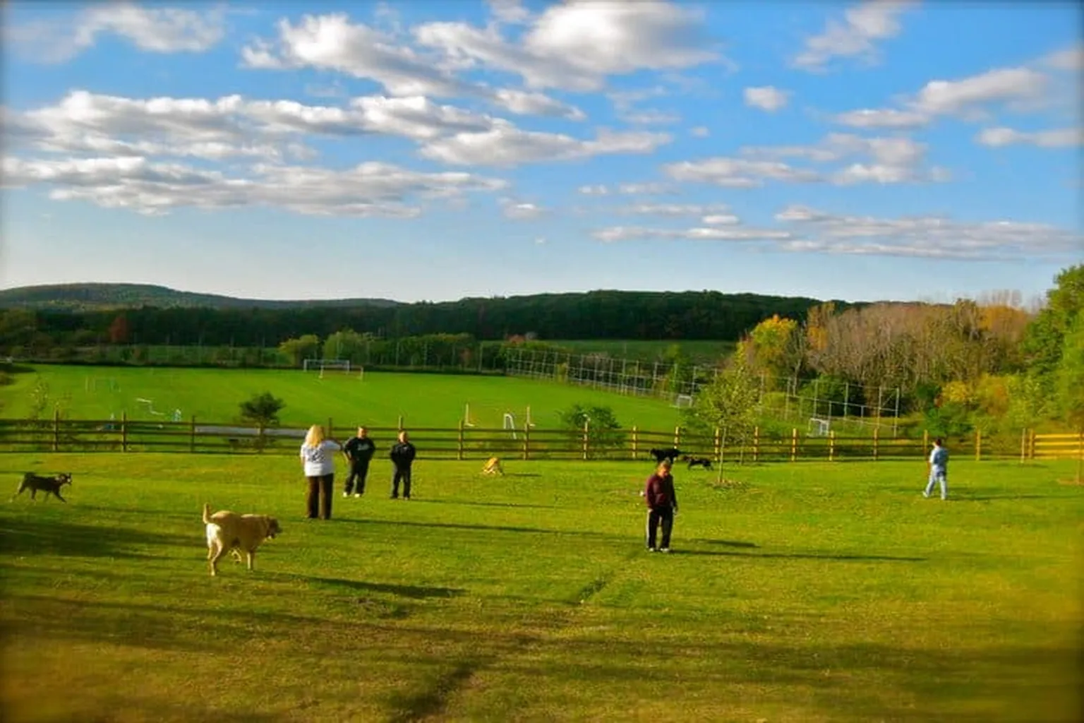 Abington Area Community Dog Park in Clarks Summit, Pennsylvania - Main Image