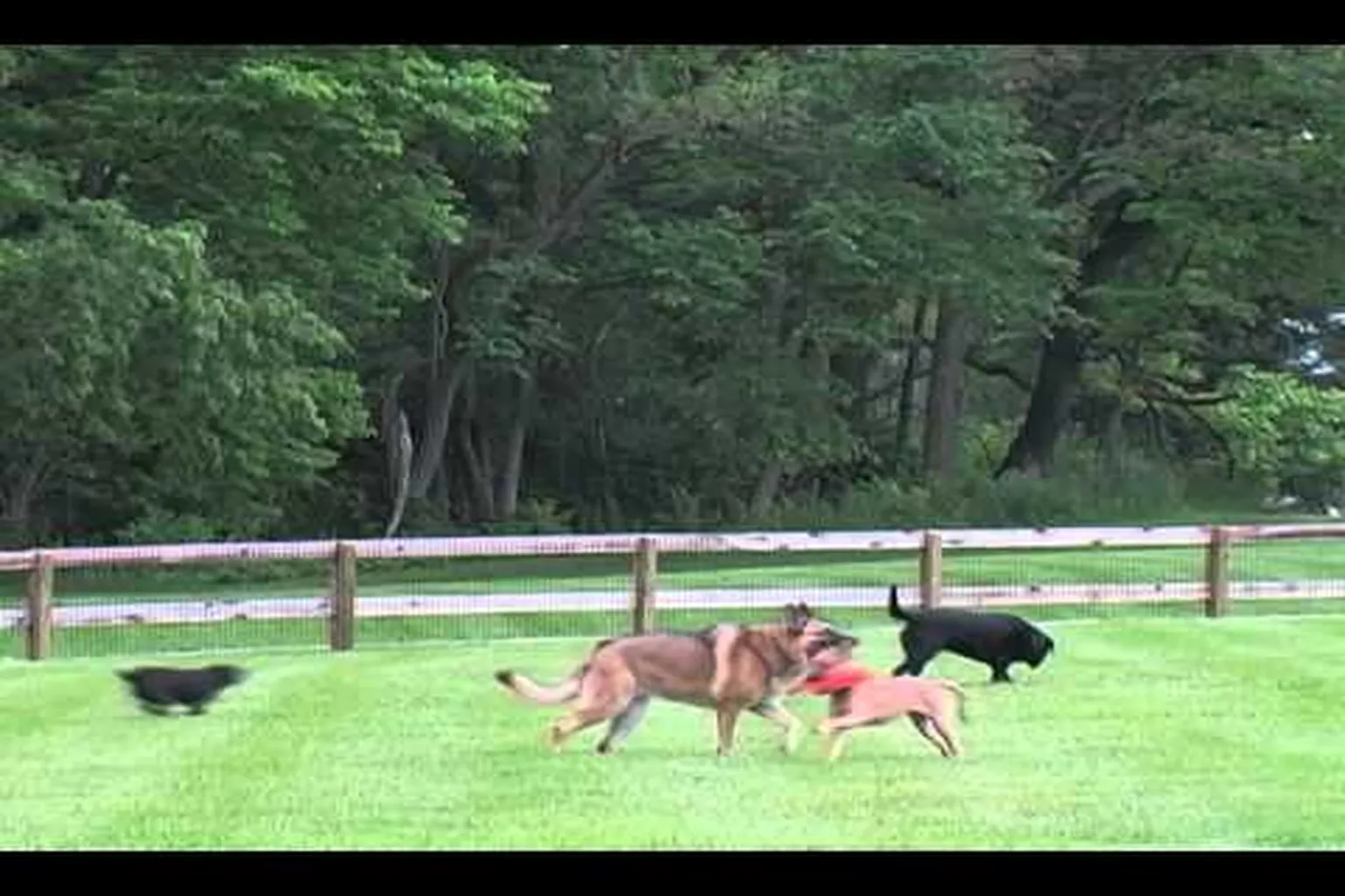 Scout Burnell-Garbrecht Dog Park in Xenia, Ohio - Main Image