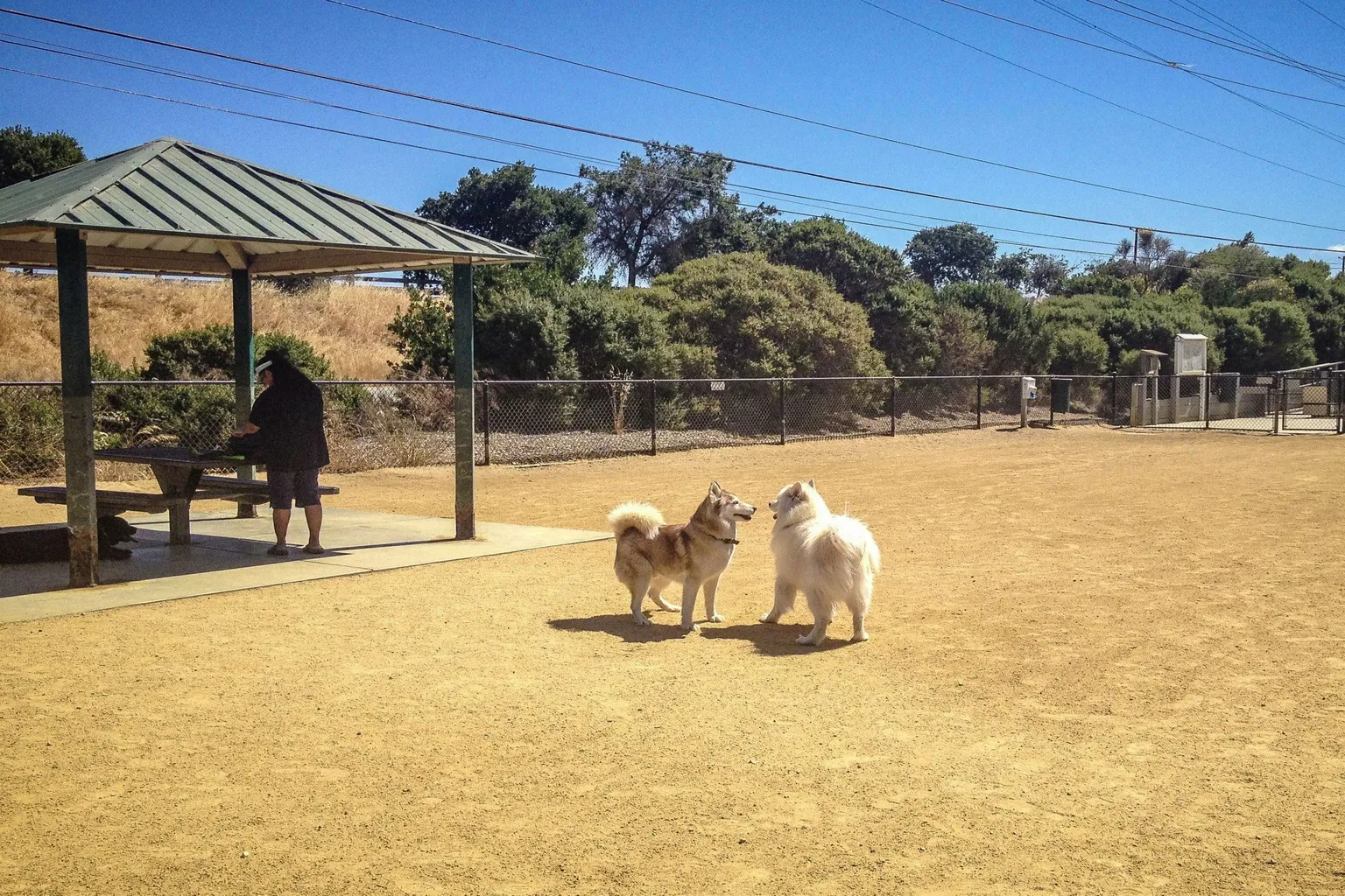 Mountain View Dog Park (Near Shoreline Park) in Mountain View, California