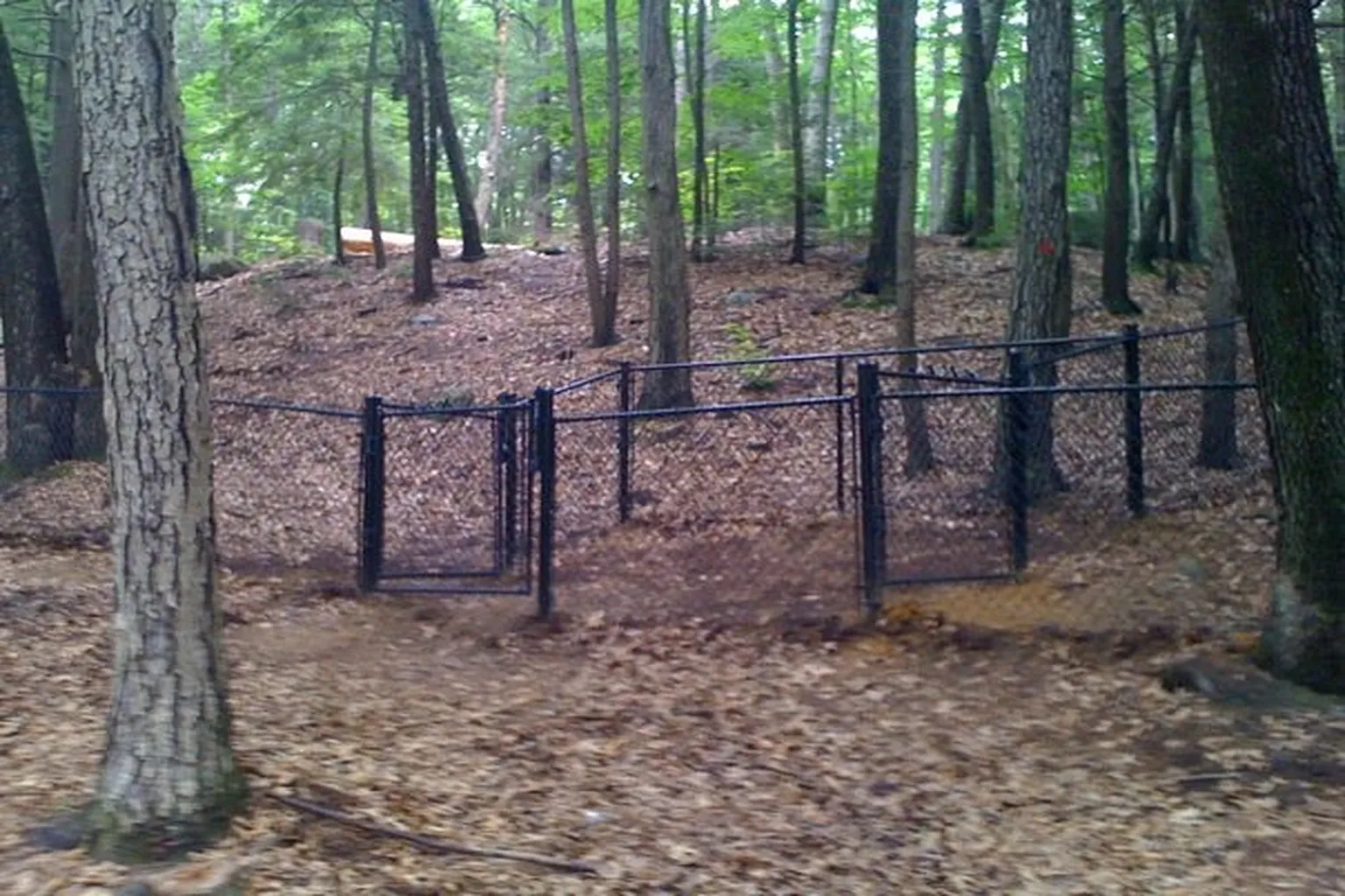 Bark Park (At Rockwell Park) in Bristol, Connecticut