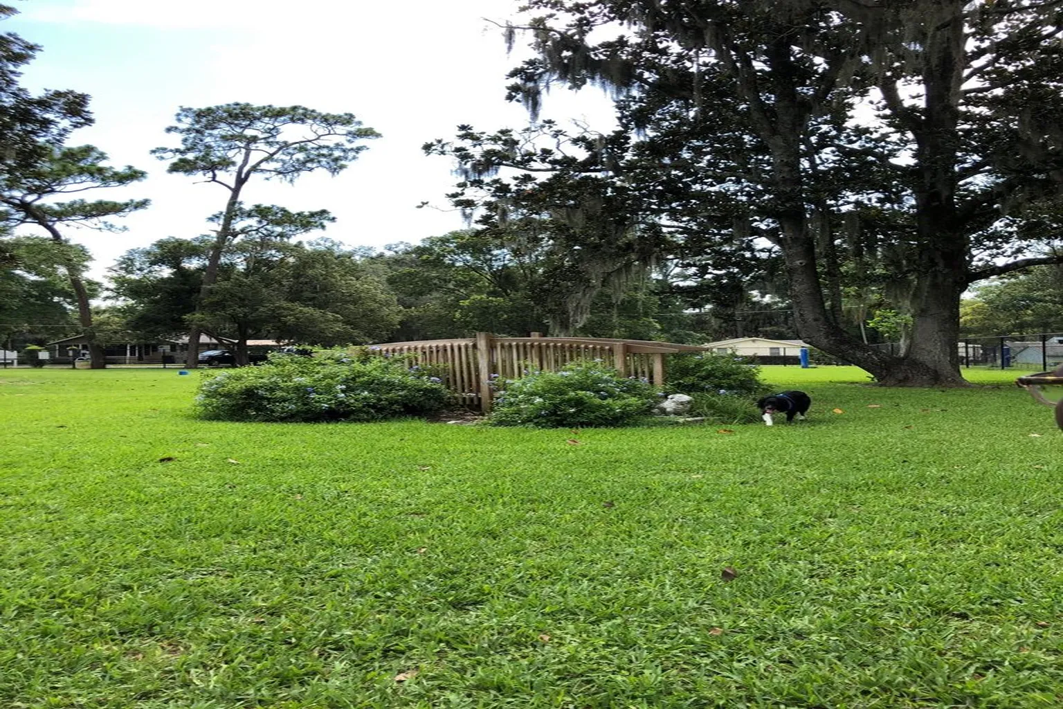 Doctor's Dog Park in Apopka, Florida - Main Image