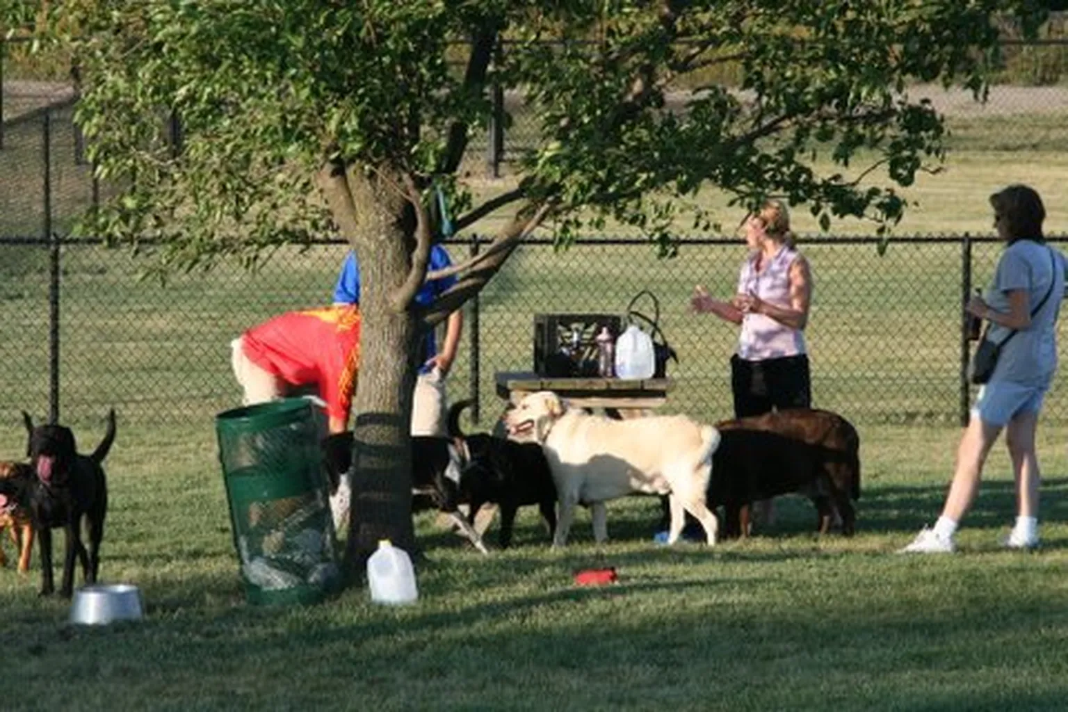 Centennial Dog Park in Munster, Indiana - Main Image