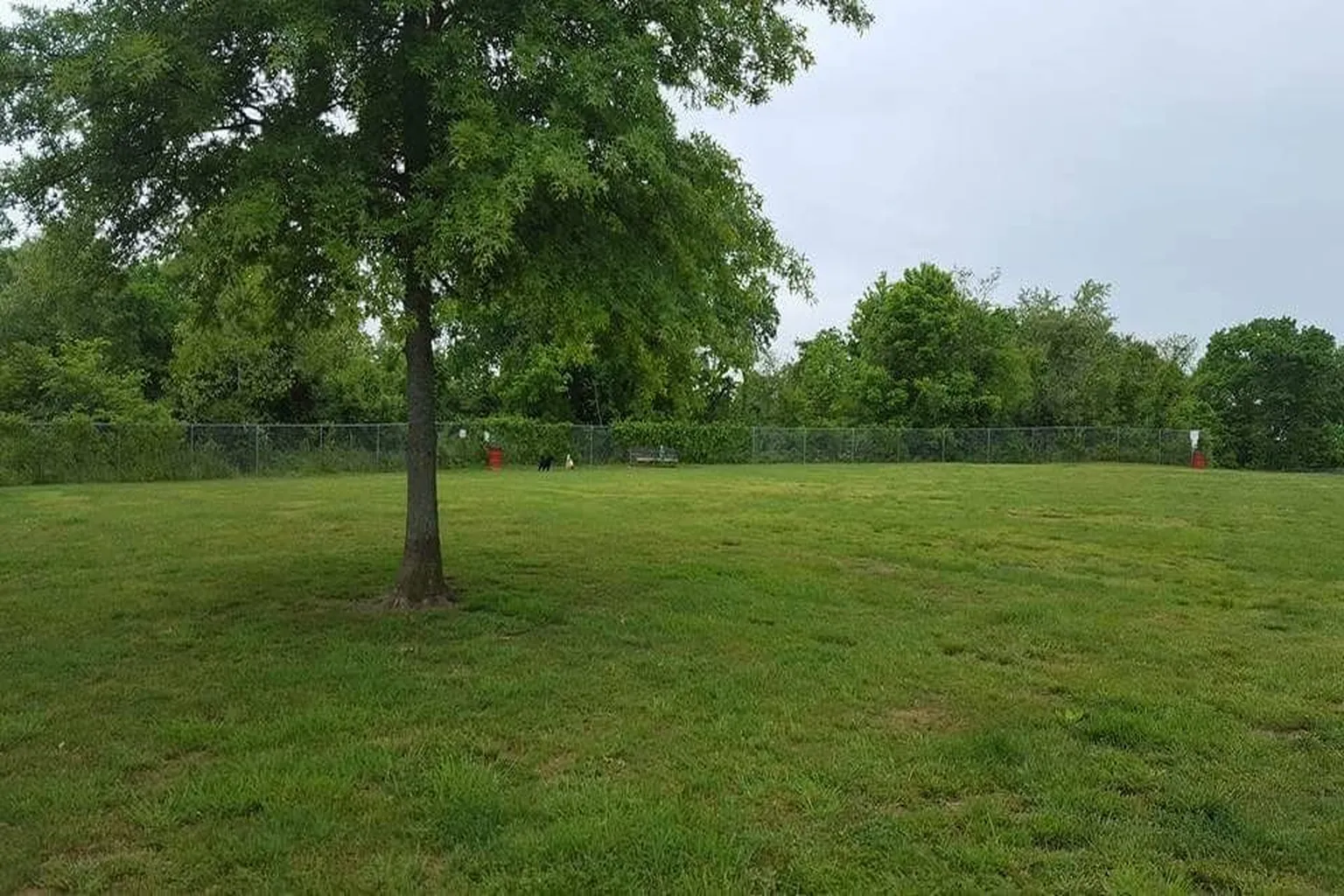 Ashland Boyd County Dog Park in Kentucky, Kentucky