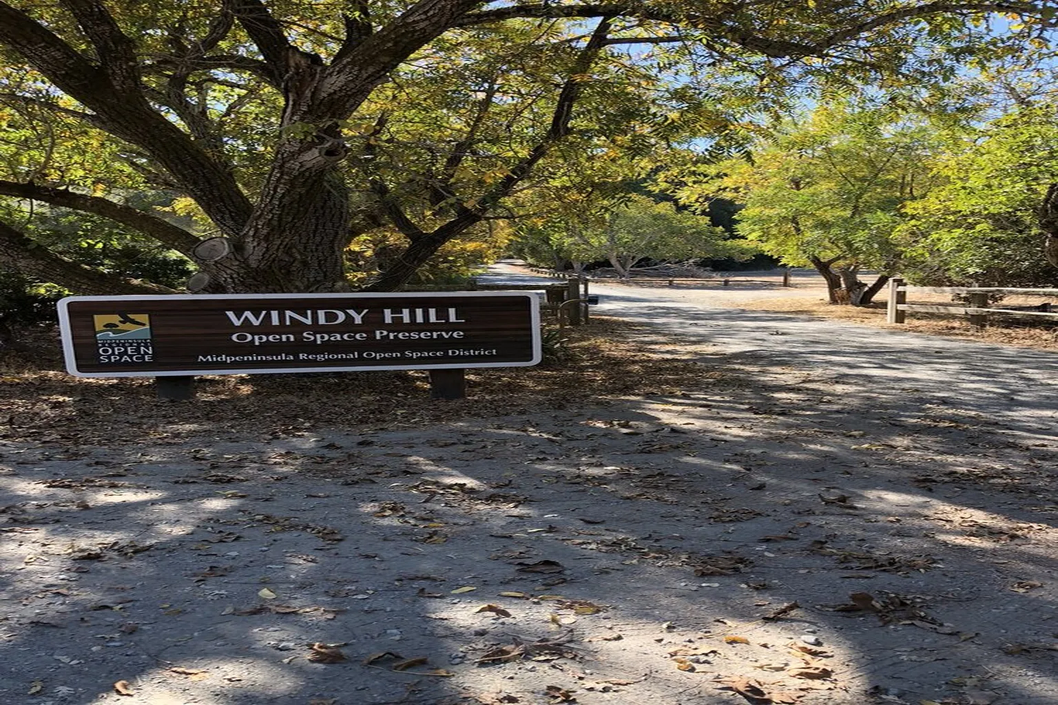 Windy Hill Open Space Preserve in Portola Valley, California