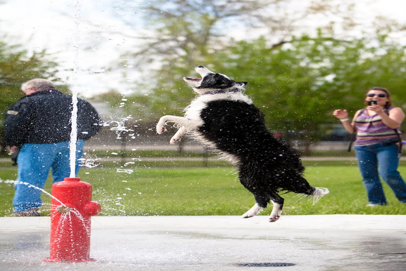 Nola City Bark (At City Park) in New Orleans, Louisiana - Main Image