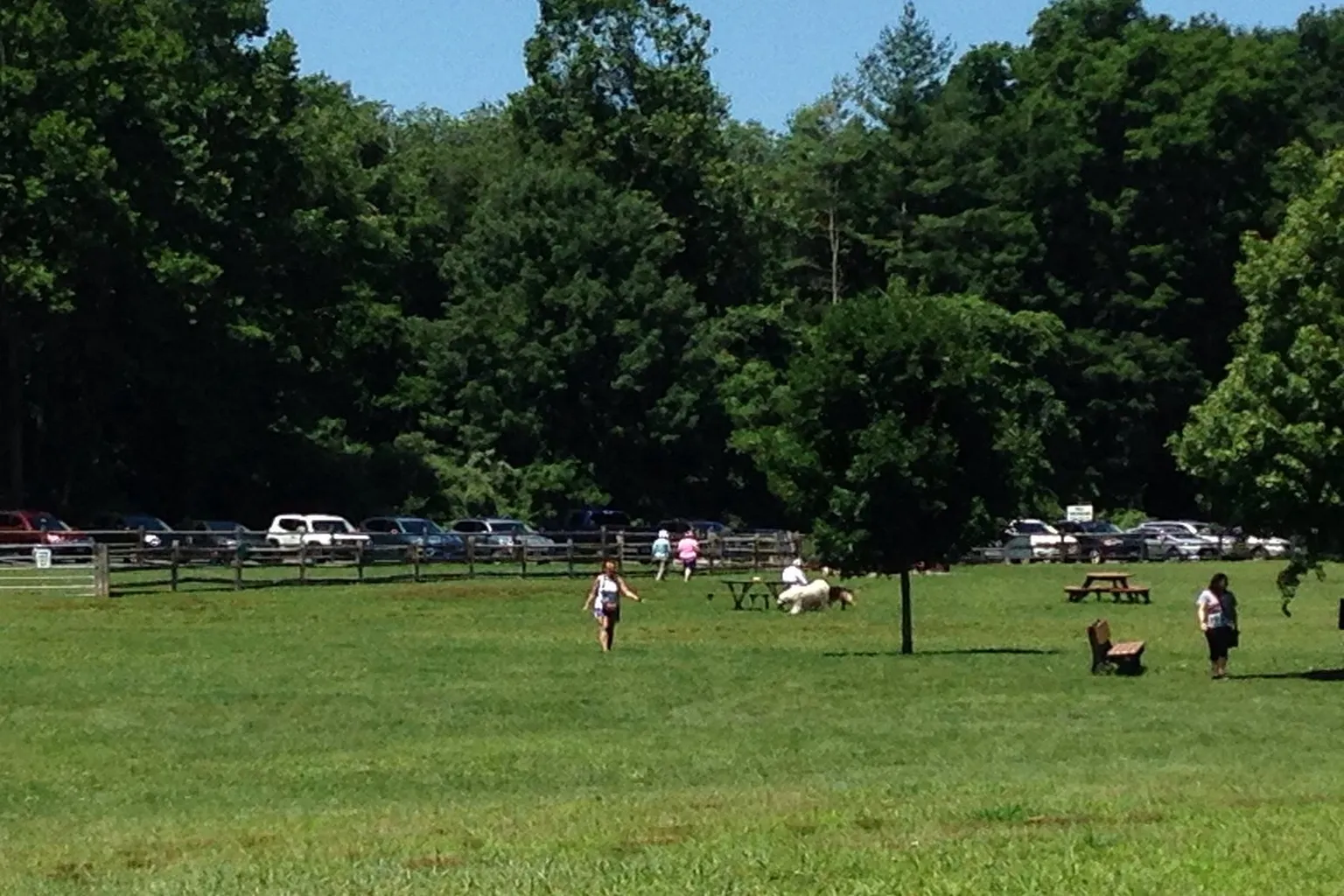 Southbury Dog Park in Southbury, Connecticut