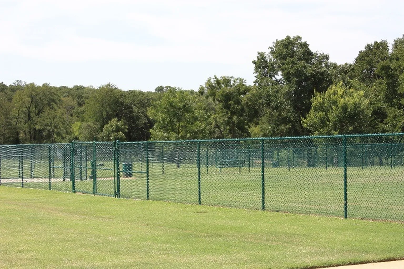 Wiggly Field At Lake Forest Park in Denton, Texas - Main Image